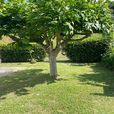 Moradia Rustica Jardim Villa Caloura Exterior photo